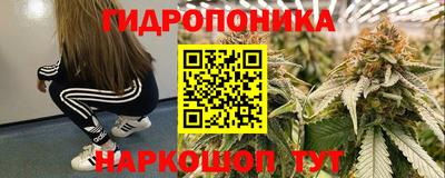 PSILOCYBIN Ликино-Дулёво