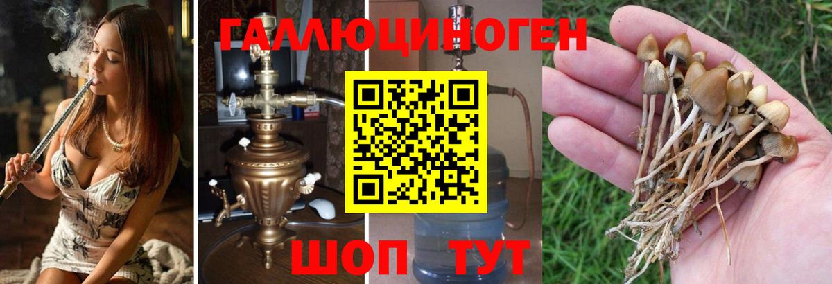 Псилоцибиновые грибы мухоморы Жуковский